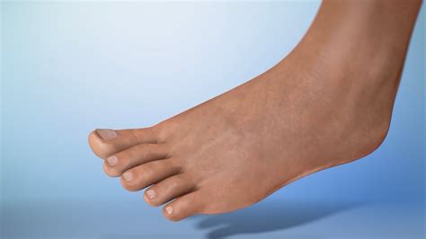 Foot .